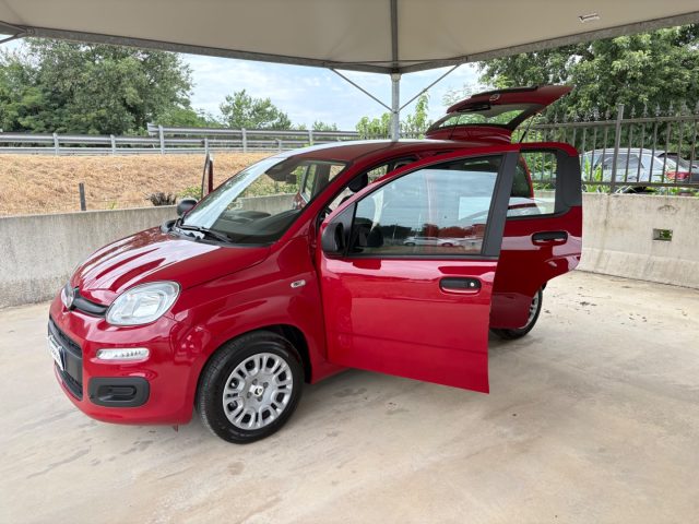 FIAT Panda usata, con Pneumatici estivi