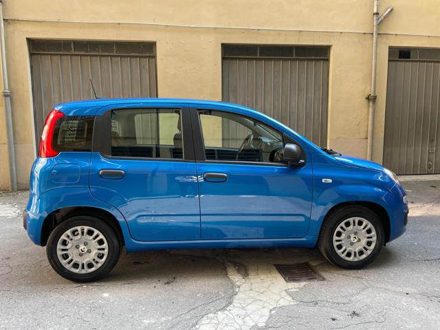 FIAT Panda usata, con Alzacristalli elettrici