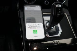 LAND ROVER Range Rover Evoque usata 41