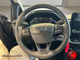 FORD Fiesta usata, con Autoradio digitale