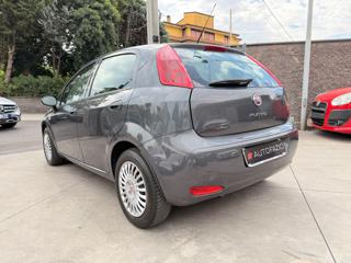 FIAT Punto usata, con Airbag Passeggero