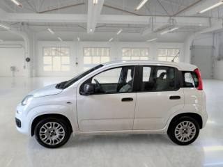 FIAT Panda usata, con Autoradio