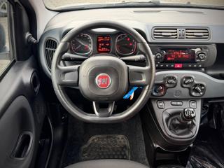 FIAT Panda usata 16