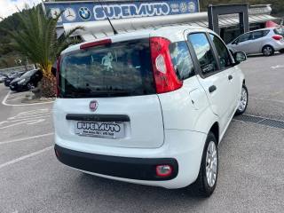 FIAT Panda usata, con Airbag Passeggero