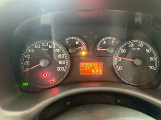 FIAT Punto usata, con Isofix