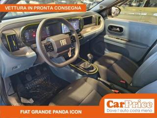 FIAT Grande Panda usata, con Airbag testa