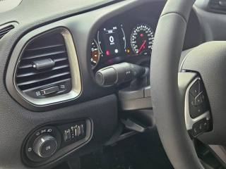 JEEP Renegade usata, con Bracciolo