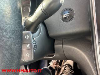 RENAULT Scenic usata, con Servosterzo