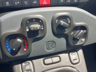 FIAT Panda usata 13