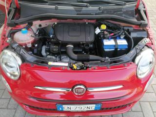 FIAT 500 usata 22