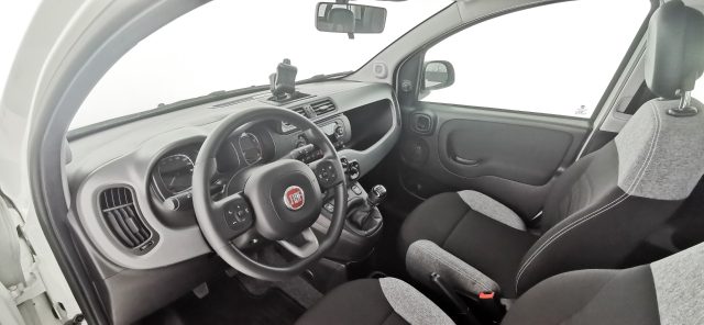 FIAT Panda usata 51