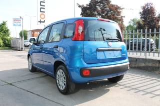 FIAT Panda usata, con Alzacristalli elettrici