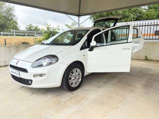 FIAT Punto usata, con Pneumatici quattro stagioni