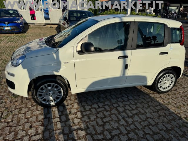 FIAT Panda usata, con Airbag Passeggero