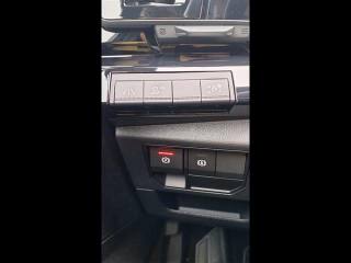 RENAULT Austral usata 7