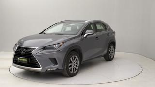 LEXUS NX 300h 300h 2.5 Premium 4wd cvt