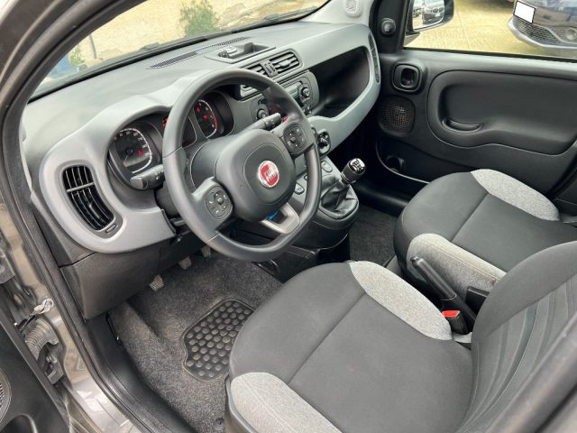 FIAT Panda usata 11
