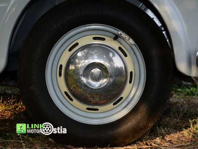 FIAT 1100 usata 32