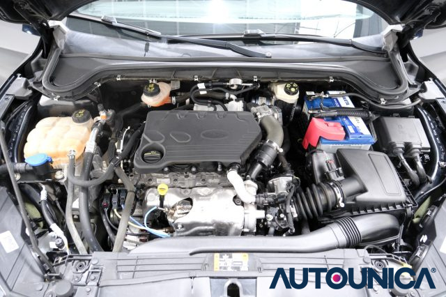FORD Focus usata 63