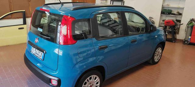 FIAT Panda usata 15