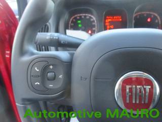 FIAT Panda Cross usata 17