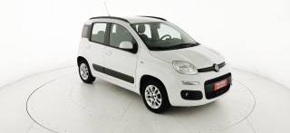 FIAT Panda usata 29