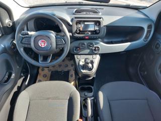 FIAT Panda usata, con Controllo trazione