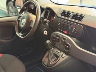 FIAT Panda usata 19