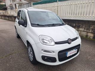 FIAT Panda usata, con Airbag Passeggero
