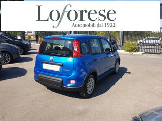 FIAT Panda usata, con Alzacristalli elettrici