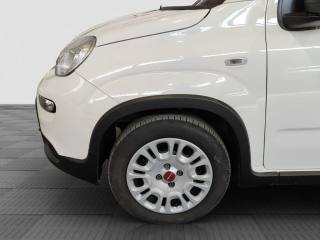 FIAT Panda usata 14