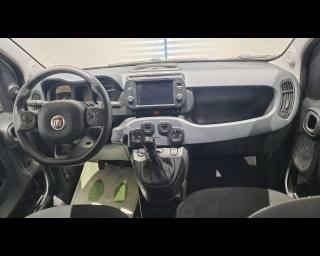 FIAT New Panda usata, con Fendinebbia