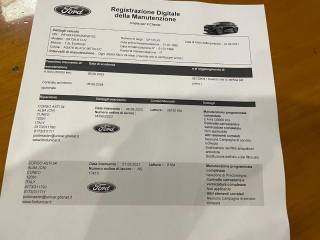 FORD Puma usata, con Vetri oscurati