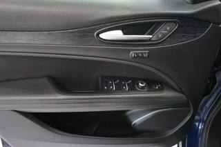 ALFA ROMEO Stelvio usata 38