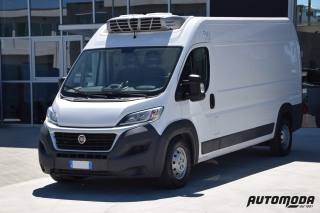FIAT Ducato MAXI FRIGO CON PEDANA