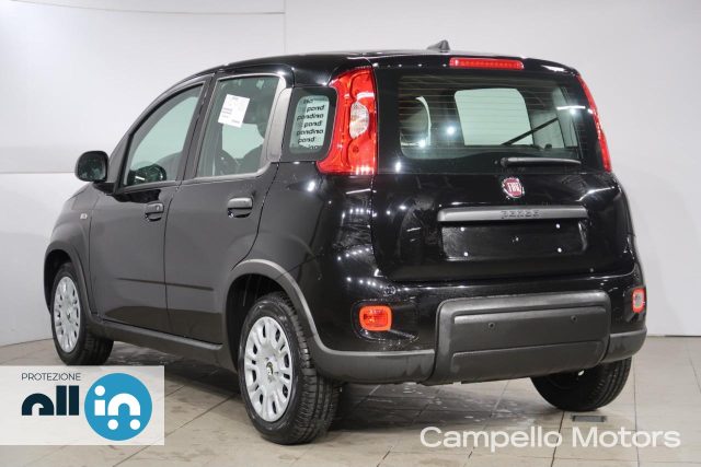 FIAT Panda usata 2