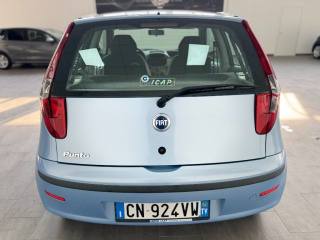 FIAT Punto usata, con Fendinebbia