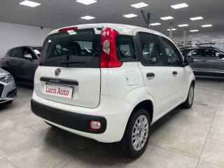 FIAT Panda usata, con Autoradio