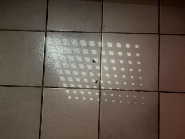 VOLKSWAGEN Taigo usata, con Bracciolo