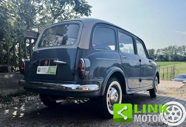 FIAT 1100 usata 6