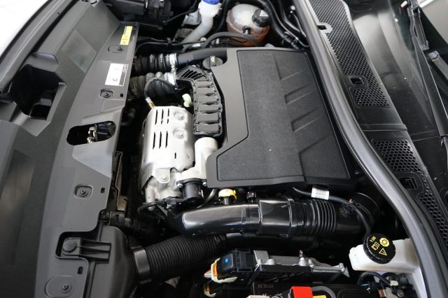 PEUGEOT 2008 usata 58