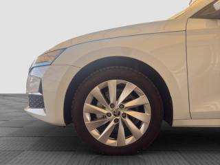 SKODA Octavia usata 14