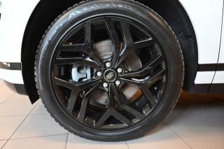 LAND ROVER Range Rover Evoque usata 97