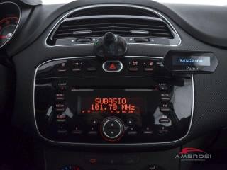 FIAT Punto usata 13