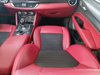 ALFA ROMEO Stelvio usata, con Airbag testa