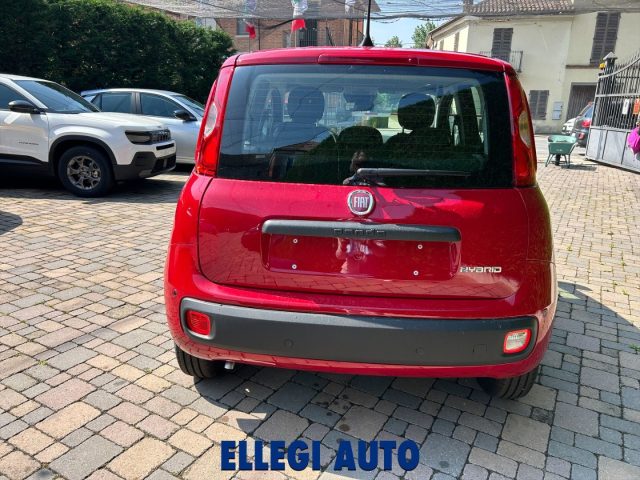 FIAT Panda usata, con Antifurto