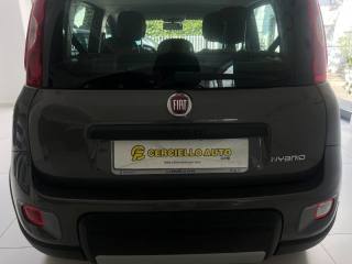 FIAT Panda usata, con Controllo vocale