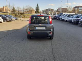 FIAT Panda usata, con Antifurto