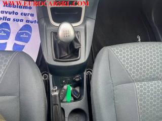 FORD Fiesta usata 14