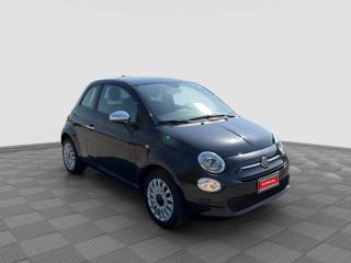 FIAT 500 usata 6